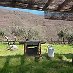 度假居 Nature House Custu Giancu Cichero