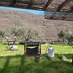 펜션 Nature House Custu Giancu